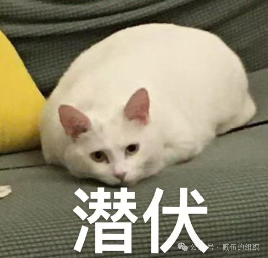 中国单人游泳比赛规则最新_中国单人游泳比赛规则最新_中国单人游泳比赛规则最新