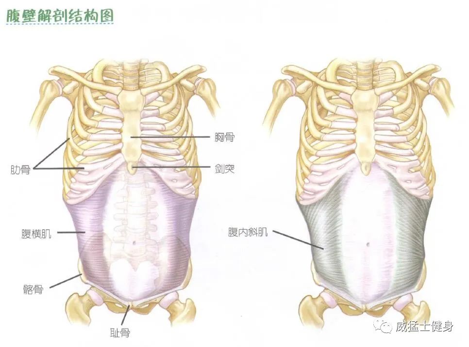 健身房虐腹_健身房虐腹动作训练_虐腹训练